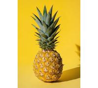 WSJIJY Impression sur Toile Delicious Fruit Pineapple Strawberry Mango Lemon Minimalist Photography Art Poster Canvas Paintings Wall Art Pictures Home Decor 45X60Cm No Frame