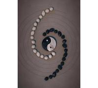 WSJIJY Impression sur Toile Noir Et Blanc Japonais Texte Affiche Vie Mort Compassion Honneur Art Mural Chat Dragon Toile Peinture Maison Décor 30X45Cm sans Cadre