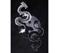 WSJIJY Impression sur Toile Noir Et Blanc Japonais Texte Affiche Vie Mort Compassion Honneur Art Mural Chat Dragon Toile Peinture Décoration D’Intérieur 70X100Cm sans Cadre