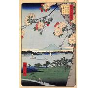WSJIJY Impression sur Toile Rétro Japonais Oiseau Paon Fuji Montagne Affiches Impressions Peinture sur Toile Art Mural Photo Salon Décoration Intérieure 15X20Cm sans Cadre