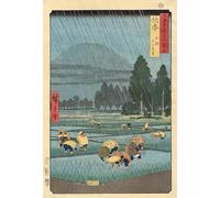WSJIJY Impression sur Toile Rétro Japonais Oiseau Paon Fuji Montagne Affiches Impressions Peinture sur Toile Art Mural Photo Salon Décoration Intérieure 60X90Cm sans Cadre