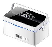 WSMYGS Réfrigérateur à insuline portable, refroidisseur d'insuline, étui de voyage, réfrigérateur à température constante, chargement USB, 1 * batterie, refroidisseur d'in
