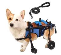 WSPWFQ Fauteuil roulant à mobilité arrière pour chien - Plusieurs tailles réglables, cadre durable et design confortable, idéal pour les animaux handicapés/âgés (taille XS)