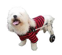 WSPWFQ Fauteuil roulant portable pour chien - Chariot réglable pour chiens de petite taille handicapés à la jambe arrière - Fauteuil roulant léger et confortable pour soutien de mobilité en intérieur