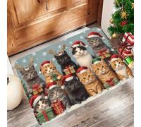 Wsrght Tapis de Bain Antidérapant Absorbant, Tapis Salle de Bain Diatomite Séchage Rapide, Fin, Doux, Lavable, Facile à Nettoyer, Bath Mat pour Douche, Baignoire Pet 140x200cm 3-1228