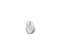 WT465 - Souris - optique - sans fil - 2.4 GHz - récepteur sans fil USB - blanc