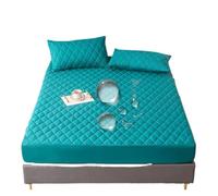 WTAXBH Pprotege Matelas Drap-Housse en Coton Super épais et Chaud avec Bandes élastiques, Housse de Matelas imperméable for lit Double, décoration d'intérieur Luxe(Green,140x200x30cm)