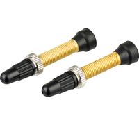 WTB Valve Tubeless TCS Presta en Laiton SV 34 mm
