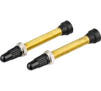 WTB Valve Tubeless TCS Presta en Laiton SV 46 mm