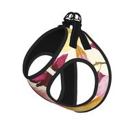 Wtercolor Ensemble harnais réglable avec laisse pour chats et chiens, gilet en maille douce et respirante avec design réfléchissant, laisse anti-fuite pour petits animaux de compagnie, promenade et