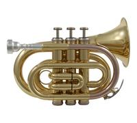 WTP200P - Si B Verni