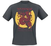 Wu-Tang Clan Inferno Homme T-Shirt Manches Courtes Anthracite M, 100% Coton, Regular/Coupe Standard