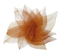 Wudaizhi 36 Feuilles de Squelette Naturel Feuilles sèches Scrapbooking DIY matériel Scrapbooking Artisanat Carte Mariage Grandes Feuilles