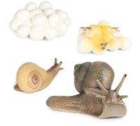 Wudaizhi Cycle De Croissance Réaliste des Escargots Figure du Modèle De Vie du Modèle Animal des Figures D'escargot