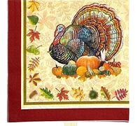 Wudaizhi Thanksgiving Party Decorations 20pcs Rustic Turkey Pumpkin Thanksgiving Luncheon Napkins Table Varellez Fournitures De Fête