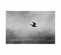 WUFIEA Art abstrait - Impression sur toile - Noir et blanc Oiseau solitaire effleurant pour la Maison décoration Moderne murale salon, chambre à coucher(Noir et blanc)-60x90cm Sans cadre