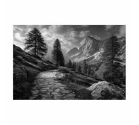 WUFIEA Art abstrait - Impression sur toile - Noir et blanc Roche sur un sentier de montagne pour la Maison décoration Moderne murale salon, chambre à coucher(Noir et blanc)-70x100cm Sans cadre