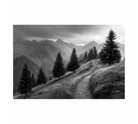 WUFIEA Ensemble de Tableaux D'Art Mural Abstrait Noir et Blanc Minimaliste Imprimés Pin sur un sentier de montagne pour salon, chambre domicile et bureau(Noir et blanc)-60x90cm Sans cadre