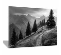 WUFIEA Ensemble de Tableaux D'Art Mural Abstrait Noir et Blanc Minimaliste Imprimés Pin sur un sentier de montagne pour salon, chambre domicile et bureau(Noir et blanc)-60x90cm Encadrée