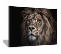 WUFIEA Images sur toile Lion Lion contemplant en silence pour Le Bureau à Domicile Décoration Moderne(gris foncé110)-20x30cm Encadrée