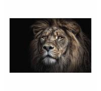 WUFIEA Images sur toile Lion Lion contemplant en silence pour Le Bureau à Domicile Décoration Moderne(gris foncé110)-40x60cm Sans cadre