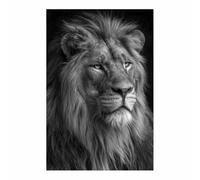 WUFIEA Moderne Impression sur Toile Portrait Lion Image Tableau Le lion fixe son regard Moderne Salon Chambre Décoration Intérieure(gris225)-70x100cm Sans cadre