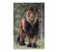 WUFIEA Modernes Motifs Lion Tableaux Muraux Lion enchaîné pour la maison, le salon, la chambre à coucher, la décoration(marron262)-60x80cm Sans cadre