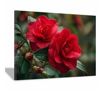 WUFIEA Murale Botanique pour Salle de Bain Thé de montagne rouge Mural en Toile de Fleur pour Salon Chambre(rouge)-40x60cm Encadrée