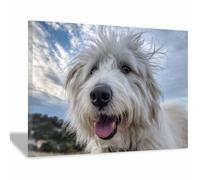 WUFIEA Painting Art Mural En Toile Sur Les Animaux, Image En Toile De Chiot Chien au vent pour Chambre Peintures Maison Bain Salon Chambre(Bleu blanc101)-40x60cm Encadrée