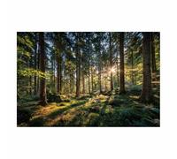 WUFIEA Paysage Tableau Sur Toile Aube illuminée dans les forêts décorations murales, decoration maison, Convient pour le salon, la chambre, le bureau, etc.(vert)-20x30cm Sans cadre