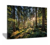 WUFIEA Paysage Tableau Sur Toile Aube illuminée dans les forêts décorations murales, decoration maison, Convient pour le salon, la chambre, le bureau, etc.(vert)-60x90cm Encadrée