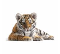 WUFIEA Peinture sur toile représentant des animaux tigre affiches et impressions HD Petit tigre mignon décoration murale pour salon(Orange)-60x80cm Sans cadre