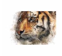 WUFIEA Peinture sur toile représentant des animaux tigre affiches et impressions HD Tigres observant décoration murale pour salon(Multicolore)-60x80cm Sans cadre