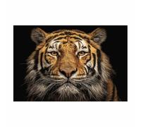 WUFIEA Peinture sur toile représentant un tigre affiches et d'animaux sauvages Tigres majestueux art mural moderne, images pour décoration de salon(Orange)-60x80cm Sans cadre