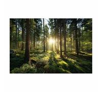 WUFIEA Tableau Paysage Nature Aube radieuse dans les bois toile decoration murale, impression d'art Convient pour la chambre, le salon, la salle de bain, etc.(vert)-40x60cm Sans cadre