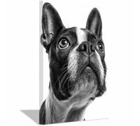 WUFIEA Tableau sur toile pour salle Décoration murale Motif chien Regard vers le haut idéale pour la chambre d'enfant, la maison, le salon(Couleur noir et blanc286)-20x30cm Encadrée