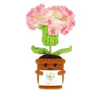 WUISOLQP Cadeaux pour femmes - Œillets de girofle faits à la main au crochet - Fleurs - Clous de girofle faits à la main avec mots de remerciement positifs - Cadeaux amusants pour tante, sœur, petite