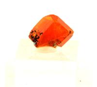 Wulfenite. 29.28 Ct. Red Cloud Mine, La Paz Co., Arizona, Usa.