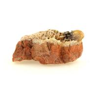 WULFENITE + BARYTE en provenance de FRANCE, Lantignié, Beaujeu - Rare Minéral de Collection, 125.5 ct - Certificat d'Authenticité Inclus 38 x 24 x 17 mm G