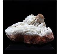 WULFENITE + BARYTE en provenance de FRANCE, Lantignié, Beaujeu, Rhône, Auvergne-Rhône-Alpes - Rare Cristal Naturel de Couleur Vibrante 149.5 ct - Certificat d'Authenticité Inclus 40 x 30 x 15 mm Natur