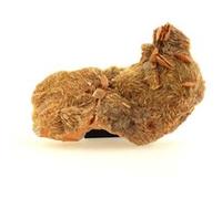 WULFENITE - Pierre Naturelle en Provenance de France, Lantignié, Beaujeu - Rare Minéral de Collection, Baryte et Fluorite - 143.8 ct - Certificat d'Authenticité Inclus 52 x 31 x 15 mm G