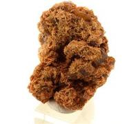 WULFENITE - Pierre Naturelle en Provenance de France, Lantignié, Beaujeu, Rhône, Auvergne-Rhône-Alpes - Cristal de Couleur Orange Vif, Formation