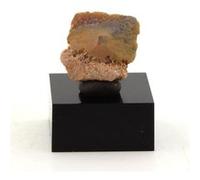 WULFENITE - Pierre Naturelle en Provenance de France, Lantignié, Beaujeu, Rhône - Rare cristal de wulfenite, collection Mineralp 13.1 ct - Certificat d'Authenticité Inclus 15 x 14 x 10 mm G