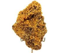 WULFENITE - Pierre Naturelle en Provenance du Maroc, Sidi Amer - Cristal Rare et Collectible 1089.30 ct - Certificat d'Authenticité Inclus 127 x 87 x