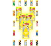 Wunder-Baum Lot de 5 désodorisants pour voiture + stylo light-tribe (vanille)