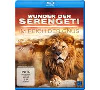 Wunder der Serengeti - Im Reich der Gnus [Blu-ray]
