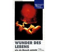 Wunder des Lebens - Die Entstehung eines Mensch