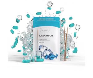Wunder Recharge pour cure-dents - Cure-dents aromatisés - Chewing-gum sans plastique - aide à lutter contre la mauvaise haleine/la mastication des ongles - arrêt du tabagisme - haleine fraîche avec
