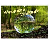 Wunderbare Waldkugeln (Wandkalender 2026 DIN A3 quer), CALVENDO Monatskalender: Das Leben ist eine Art Waldspaziergang - man muß nur ein bißchen auf ... und kann bedenkenlos die Schönheit genießen.
