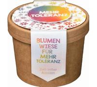 WUNDERLE 41731 Prairie fleurie à semer "Tolérance" - Graines multicolores, godet Ø 9,8 x 7 cm